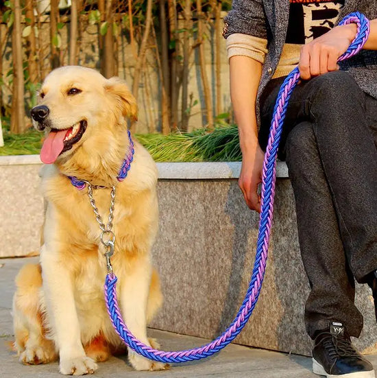 Corde à Double brin pour grands chiens, laisse en métal, boucle en chaîne P, couleur nationale, corde de Traction pour animaux de compagnie, ensemble de colliers pour grands chiens, longueur 1.2m