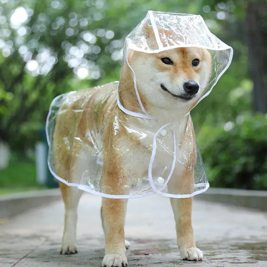Vêtements de pluie transparents pour animaux de compagnie, veste imperméable à capuche pour animaux de compagnie, vêtements en PVC souple pour petits chiens, Poncho de pluie pour chiots