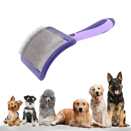 Brosse de Toilettage Animexa™ – Démêlage Facile & Poils Brillants
