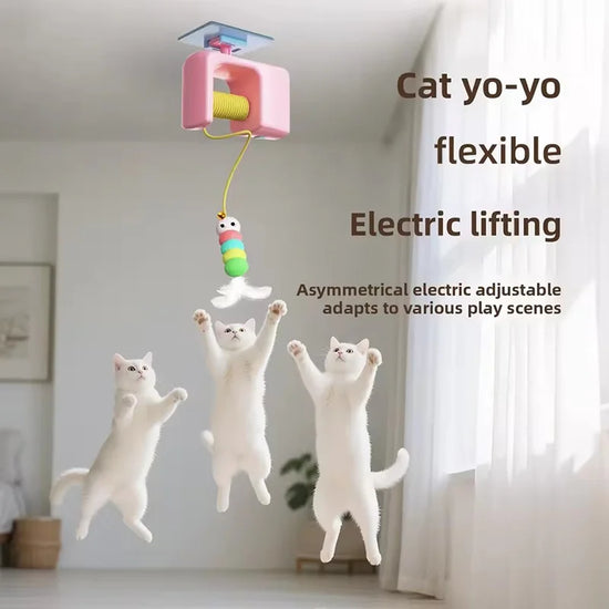 Jouet de chat à mouvement de chasse automatique, levage électrique, capture de saut, porte YoYo suspendue, jouet interactif de balançoire auto-entretien pour chat