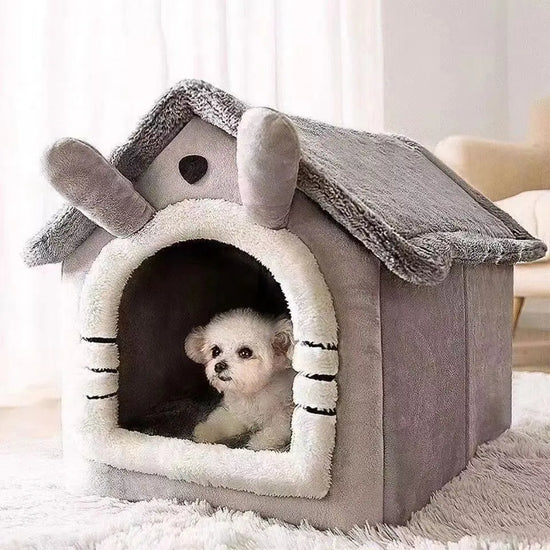 Maison d&