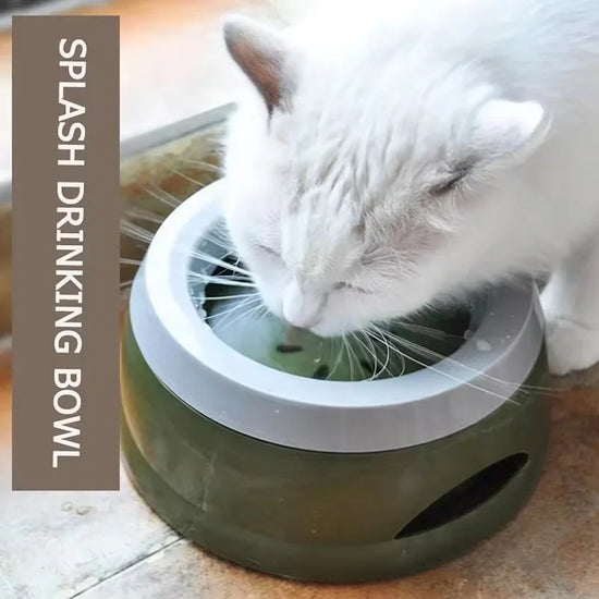 Bol à eau anti-déversement pour animaux de compagnie, antidérapant, anti-éclaboussures, pour chien et chat, sans bouche mouillée, portable, pour voyage en voiture, pour les voyages en plein air