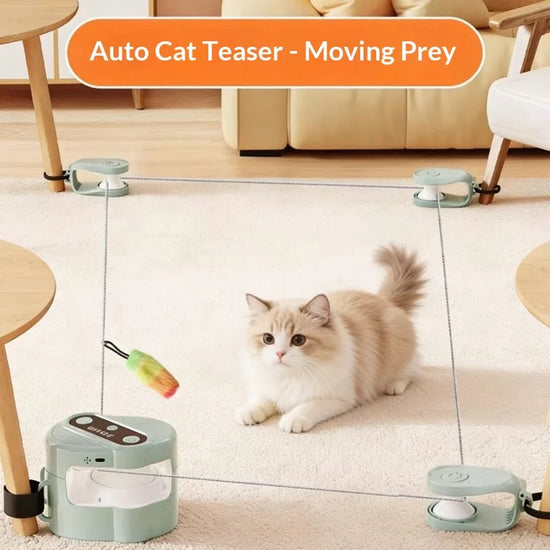 Jouet électrique automatique pour chat, piste interactive en corde avec son d&