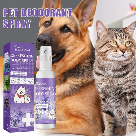 Spray Désodorisant Longue Durée pour Chien, Huile de Lavande, Chats et Chiens, sexuellement Dépistolet ant, Élimine les Odeurs, Air Fraîcheur