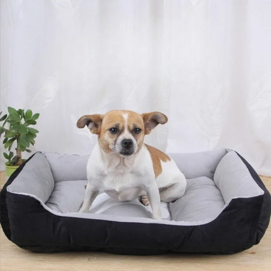 Coussin Confort Animexa™ – Douceur & Chaleur Absolue