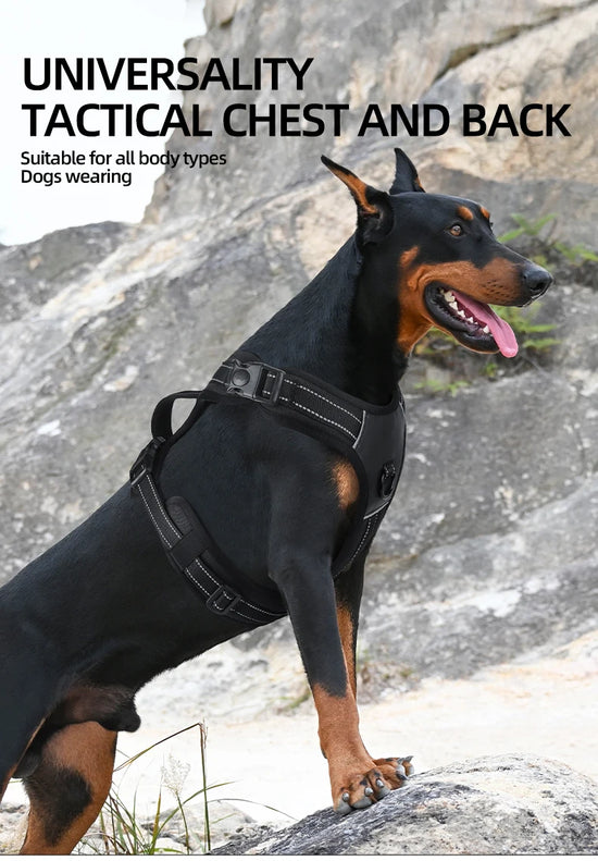 Harnais pour chien, harnais sans traction, gilet réfléchissant en PU pour animaux de compagnie sans starter, gilet rembourré doux réglable avec poignée pour chiens de petite à grande taille