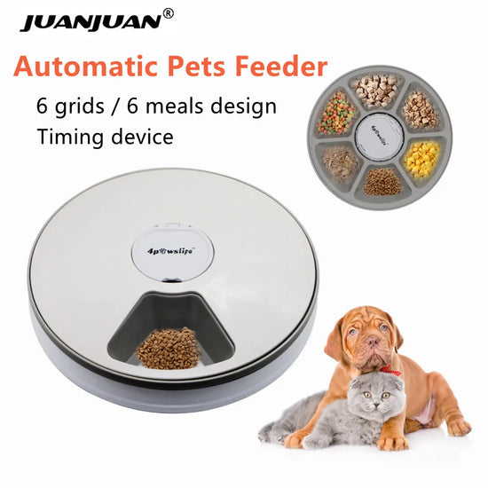Distributeur existent de Nourriture Intelligent pour Animaux de Compagnie, Rappel Vocal, Outil de Rajeunissement, Filles à Minuterie, Accessoires pour Chats et Chiens