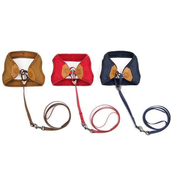 Harnais et laisse pour chien, adaptés aux chiots, aux chiens de petite et moyenne taille, choix idéal pour l&