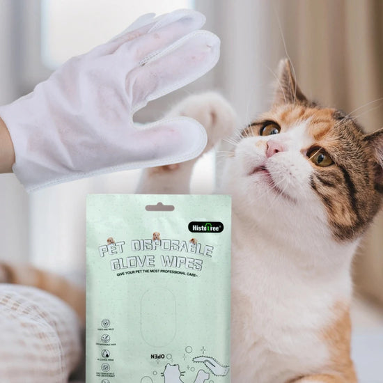 Gant de toilettage pour animaux de compagnie, lingettes de bain pour animaux de compagnie, lingettes pour le corps du chien, sans rinçage, gants de lavage pour le nettoyage des oreilles et des pattes en fourrure, désodorisa