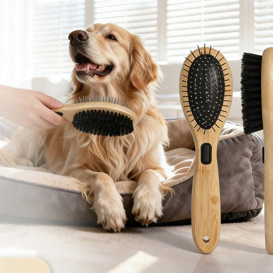Brosse Double Face Animexa™ – Brillance & Démêlage Doux