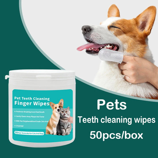 Produits de nettoyage pour animaux de compagnie, brosse à dents jetable pour les doigts, couvre-doigts, lingettes humides, nettoyage buccal pour chiens et chats