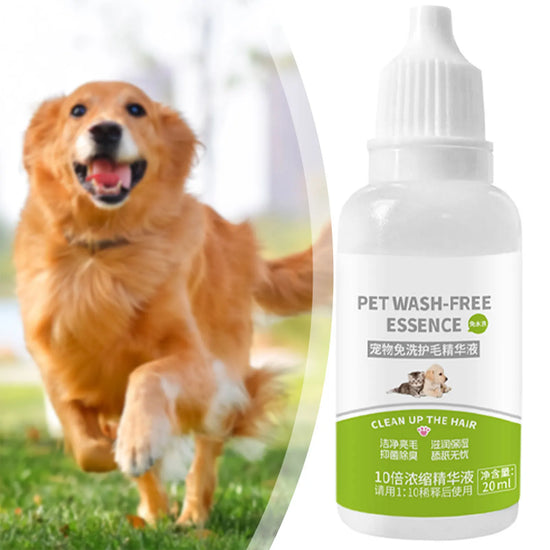Shampoing sec en Spray pour animaux de compagnie, nettoyant doux pour chiots, sans rinçage, élimine les odeurs, soins pour animaux de compagnie, longue durée et frais
