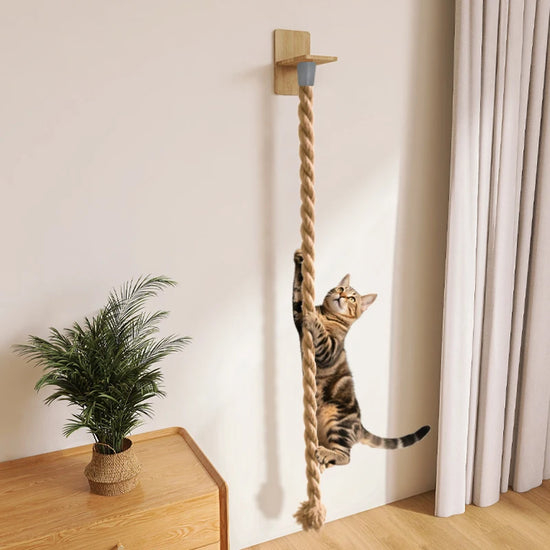 Gratte-chat mural – Corde de Jute épaisse, tour d&