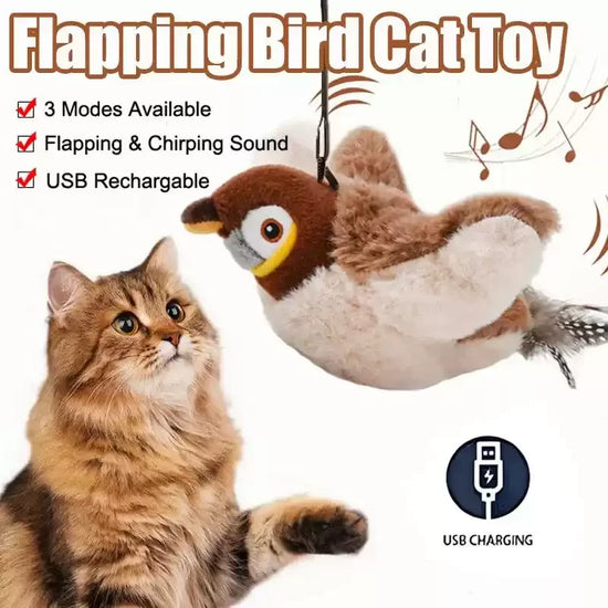 Jouet interactif pour chat, simulation d&