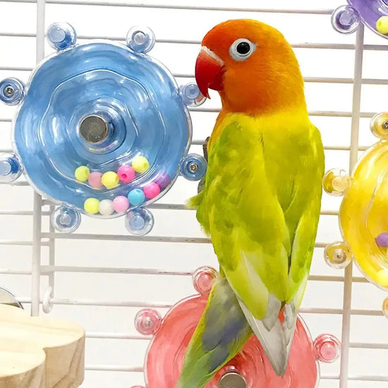 Jouet interactif pour perroquets, Cage à oiseaux, distributeur de friandises rotatif, pour la Stimulation et le divertissement mentale