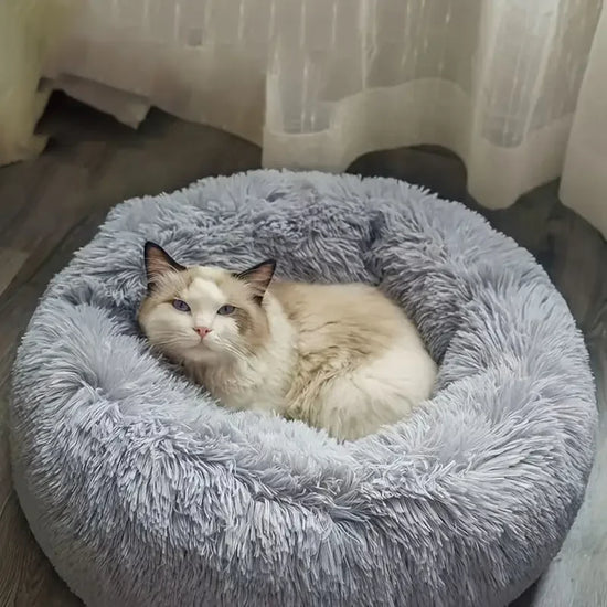 Lit confortable en peluche pour chats et petits chiens – PU souple, style contemporain, sans assembler, idéal pour les chatons et les chiots jusqu&