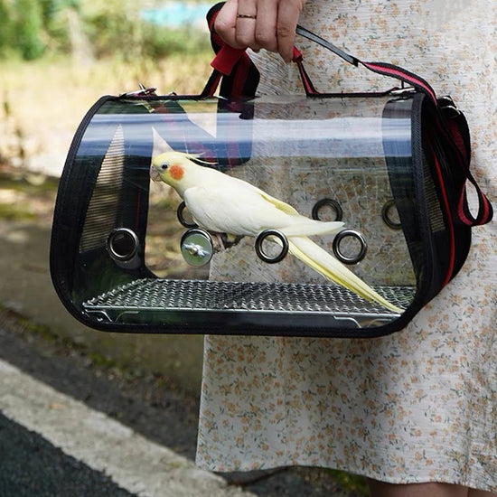 Cage de Transport pour oiseaux, porte-paysage avec perchoir, espace respirant, sac à dos de sortie pour perroquets, sac multifonctionnel pour l&