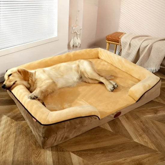 Perfecand Airways-Canapé pour animaux de compagnie, lit pour chat, grand chien, dormir, virus, corgi, caisse pour chien, opération, nel, toutes saisons