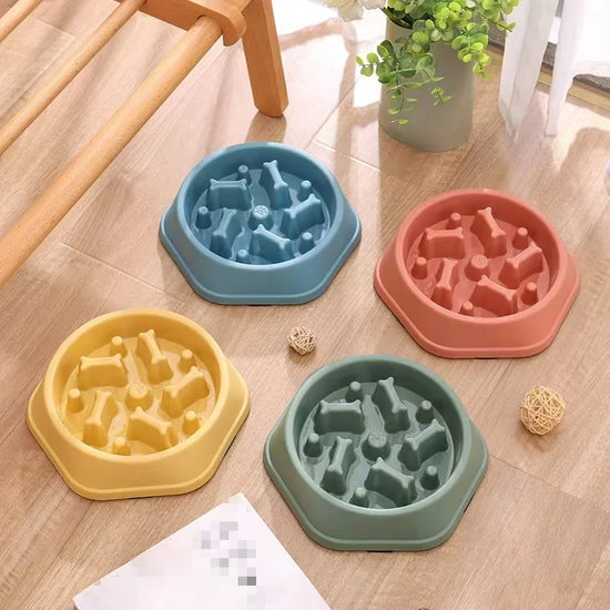 Bol de nourriture pour animaux de compagnie, respectueux de l&